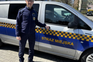 Struł się i szukał pomocy. Chory łoś zablokował ruchliwą trasę