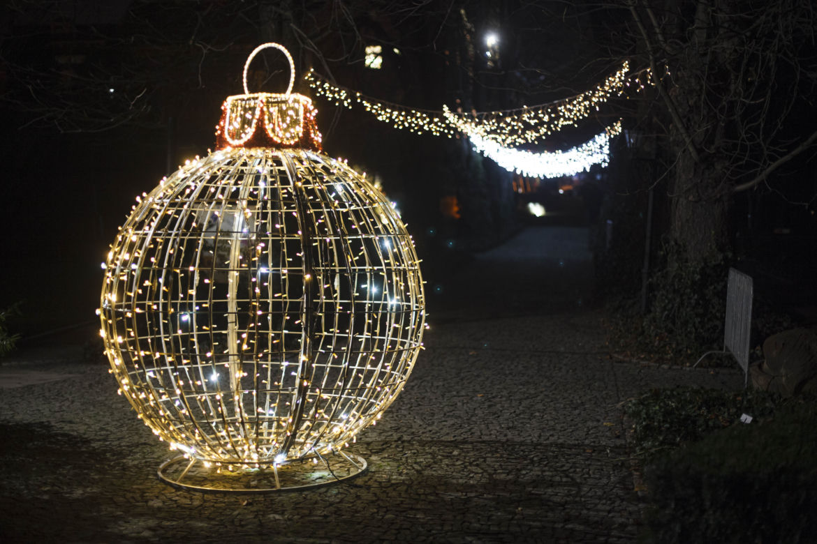 Lasery, muzyka i kolorowe iluminacje w Ogrodzie Botanicznym we Wrocławiu