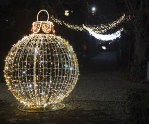 Lasery, muzyka i kolorowe iluminacje w Ogrodzie Botanicznym we Wrocławiu