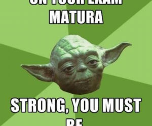 MEMY maturalne