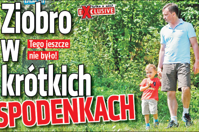 Ziobro w krótkich spodenkach