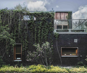 Jungle House - dom wśród drzew