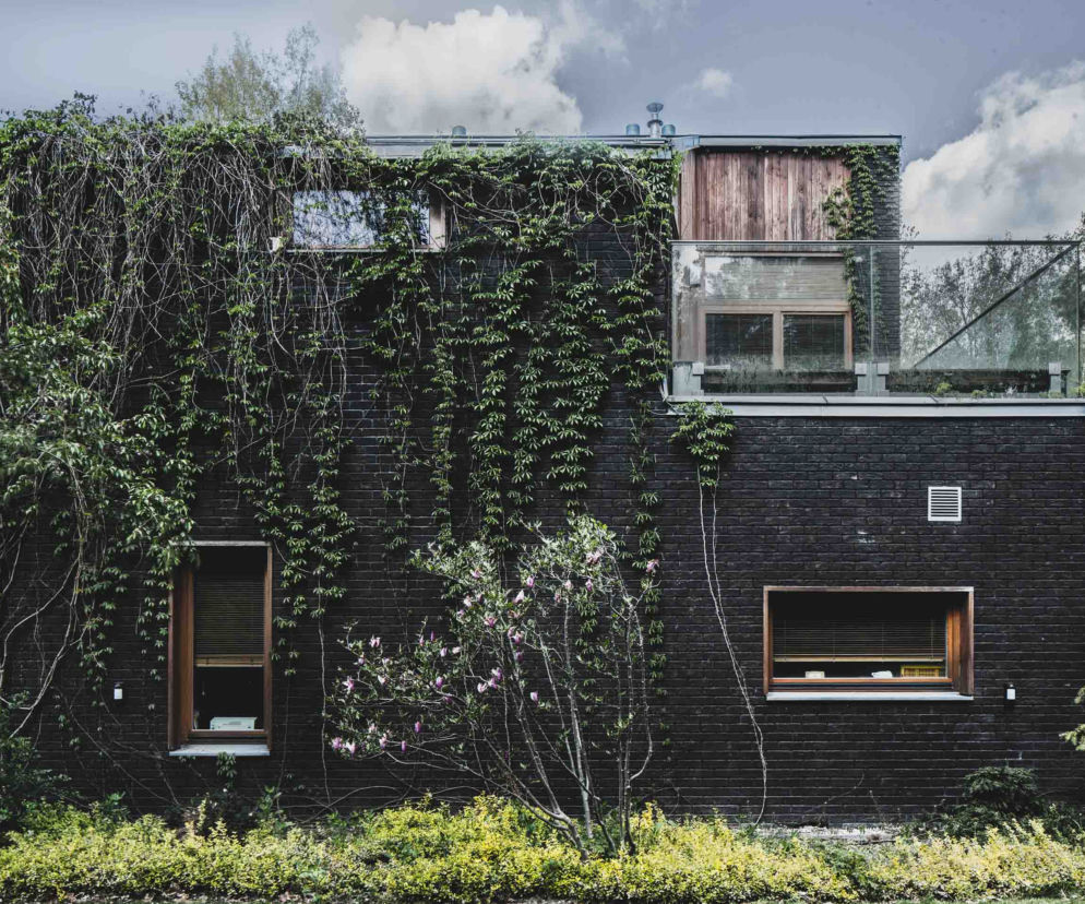 Jungle House - dom wśród drzew