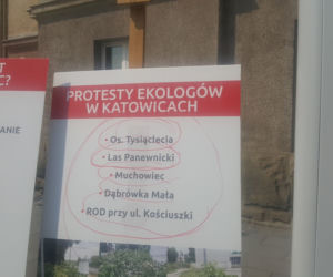 Prezydent Chorzowa proponuje: 1,8 miliona złotych na działkę i 10 tysięcy drzew