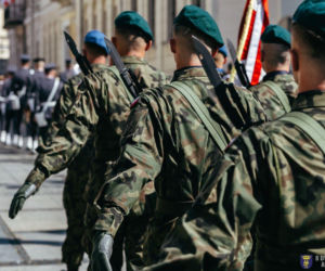 Formowanie 8. Dywizji Piechoty Armii Krajowej. Jakie są postępy i plany MON?