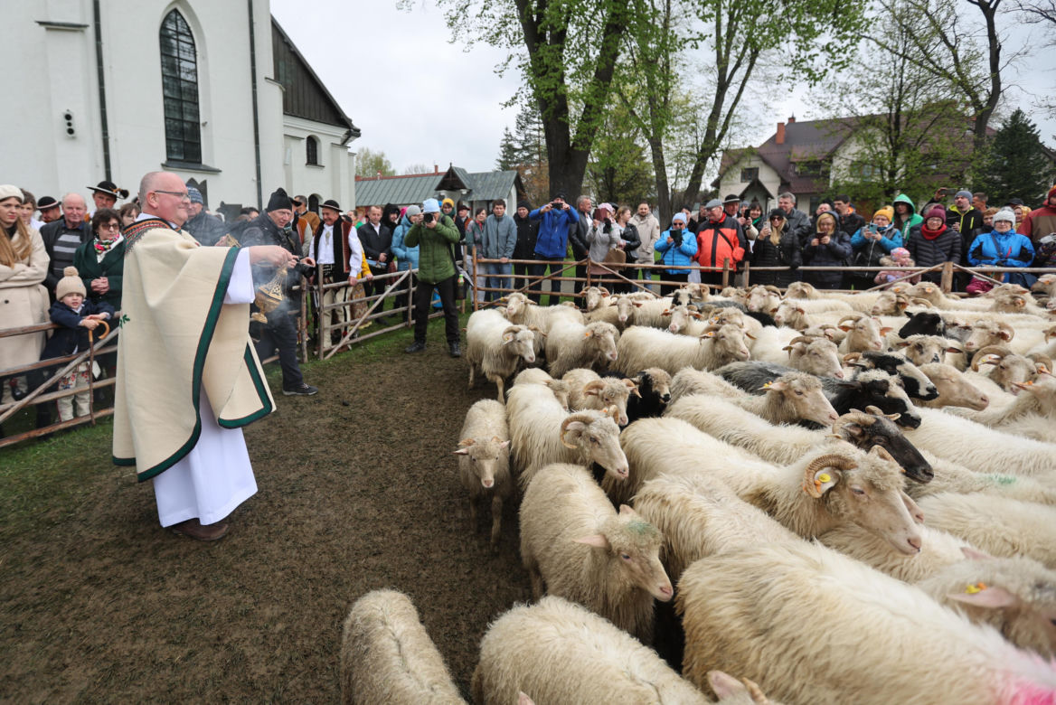 Redyk i Święto Bacowskie w Ludźmierzu