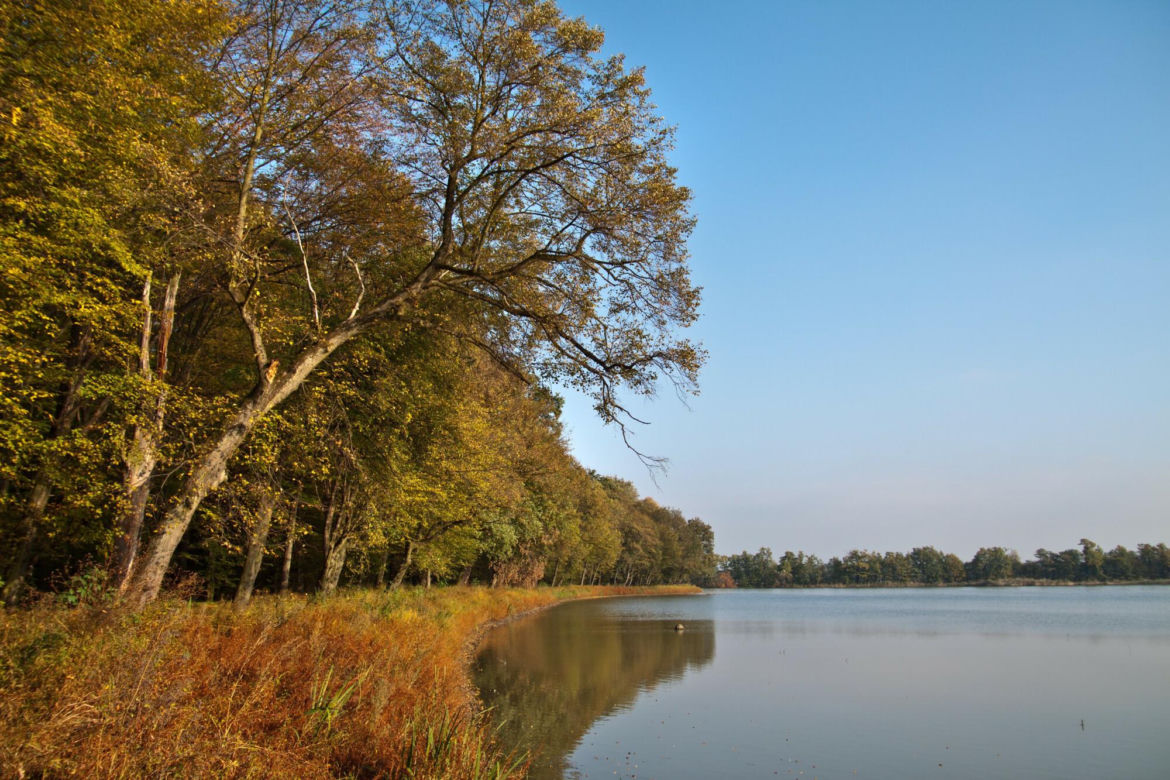 Jezioro Łężczok znajduj się w parku krajobrazowym