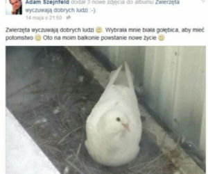 Pod hashtagiem #nosTTalgia użytkownicy Twittera przypomnieli najciekawsze i najzabawniejsze tweety z ostatnich lat