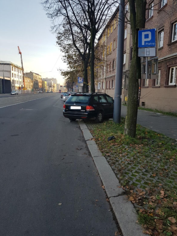 Tak parkują "miszczowie parkowania" z Katowic. Strażnicy miejscy rozkładają ręce 