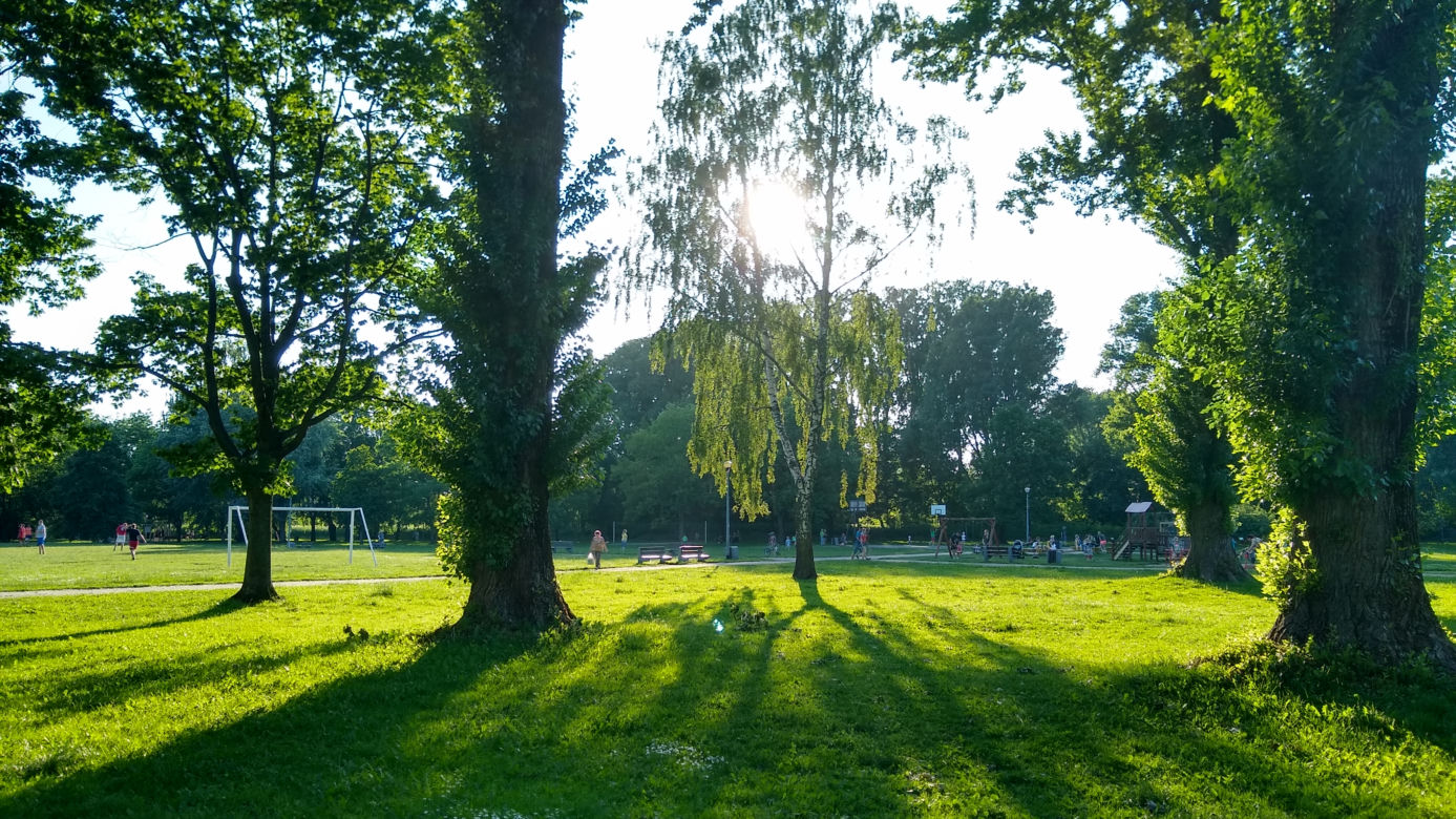 4. Park Antoniuk