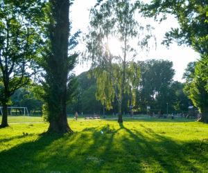 4. Park Antoniuk