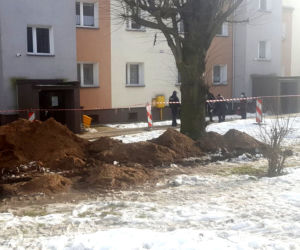 Niewybuchy między blokami przy 1-go Maja w Iławie