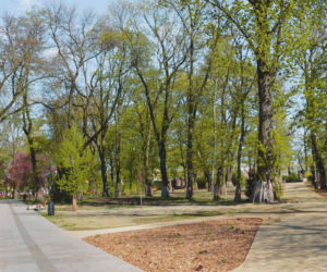 Lublin - finalny etap prac w Parku Bronowickim [AUDIO]