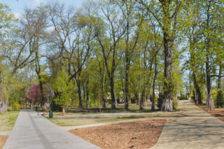 Lublin - finalny etap prac w Parku Bronowickim [AUDIO]