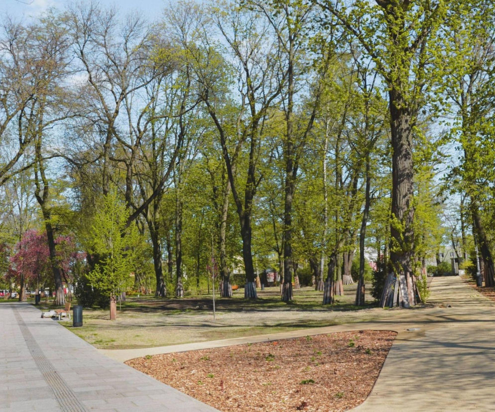 Lublin - Park