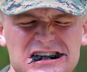 Tak się szkoli żołnierzy marines 
