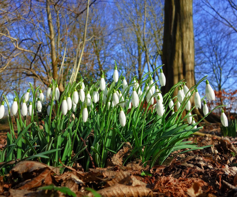 wiosenny weekend