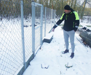 Wataha psów terroryzuje wieś. „Nie zaatakowały z głodu. To była napaść, by zabić”