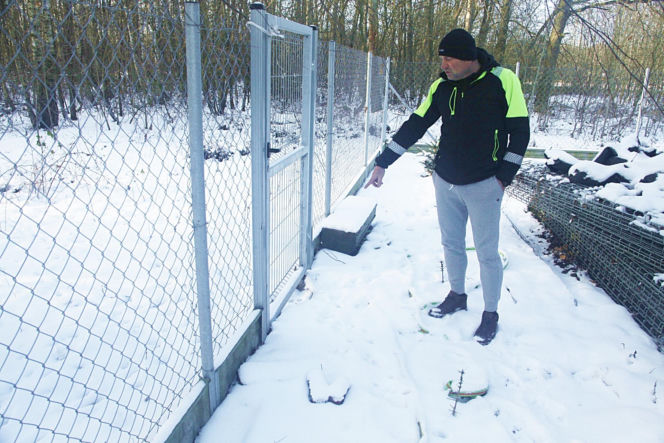 Wataha psów terroryzuje wieś. „Nie zaatakowały z głodu. To była napaść, by zabić”