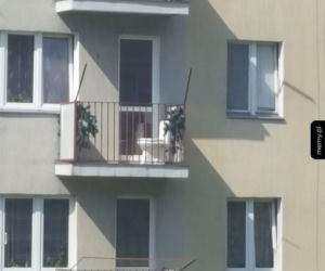 Memy o Rzeszowie