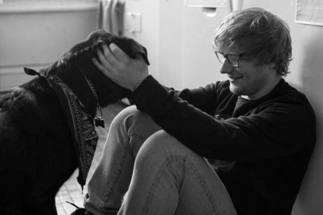Ed Sheeran z nowym rekordem w Spotify! Te liczby robią wrażenie!