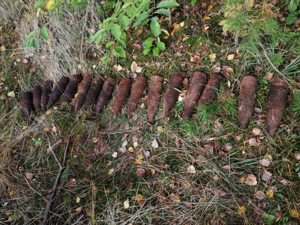 Niesamowite odkrycie w lesie pod Nidzicą