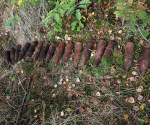 Niesamowite odkrycie w lesie pod Nidzicą