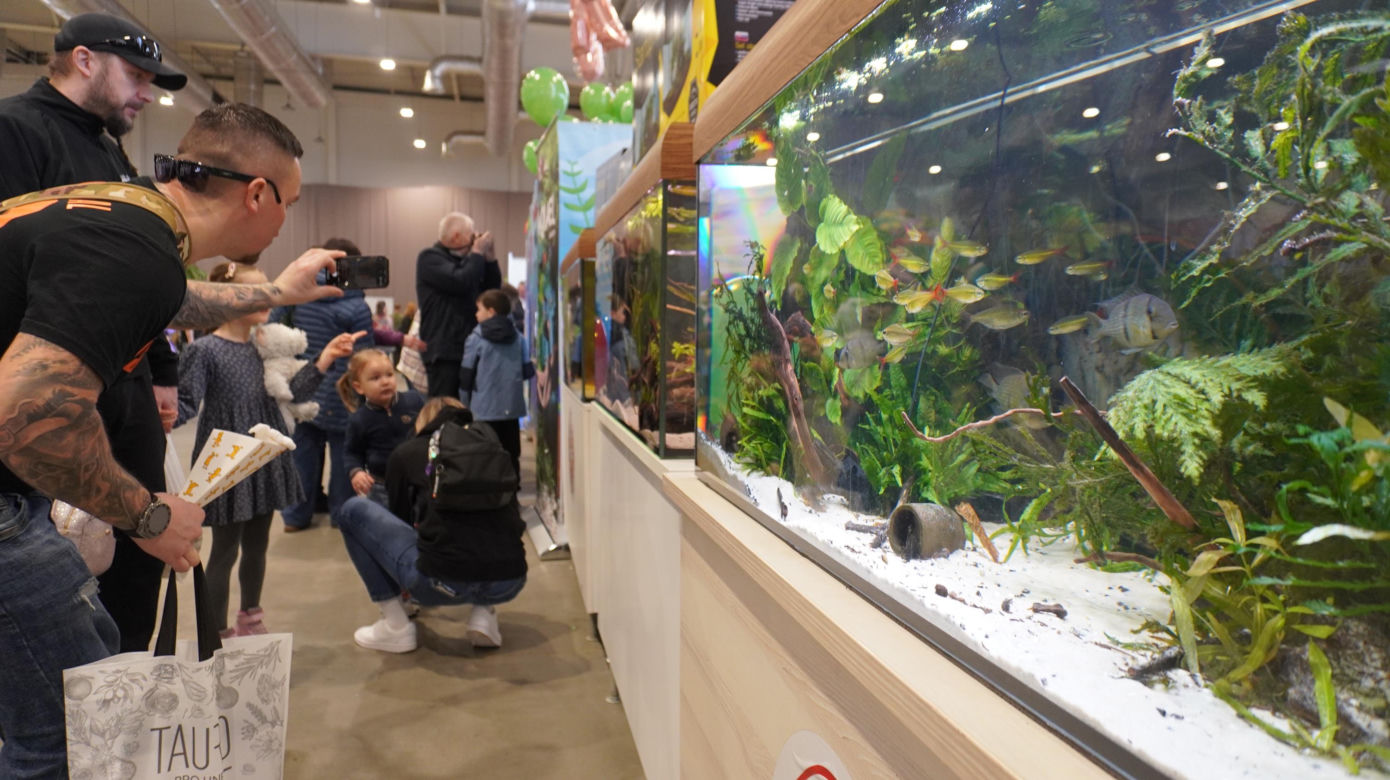 ZOOPARK w Lublinie. „Postawiliśmy na polski las. Chcemy promować nasze zwierzątka”