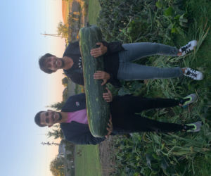 40-kilogramowa cukinia wyhodowana w Gnieźnie!