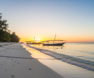 Zanzibar. To tutaj rozegrała się najkrótsza wojna świata, ale co zakończyło ją tak szybko?