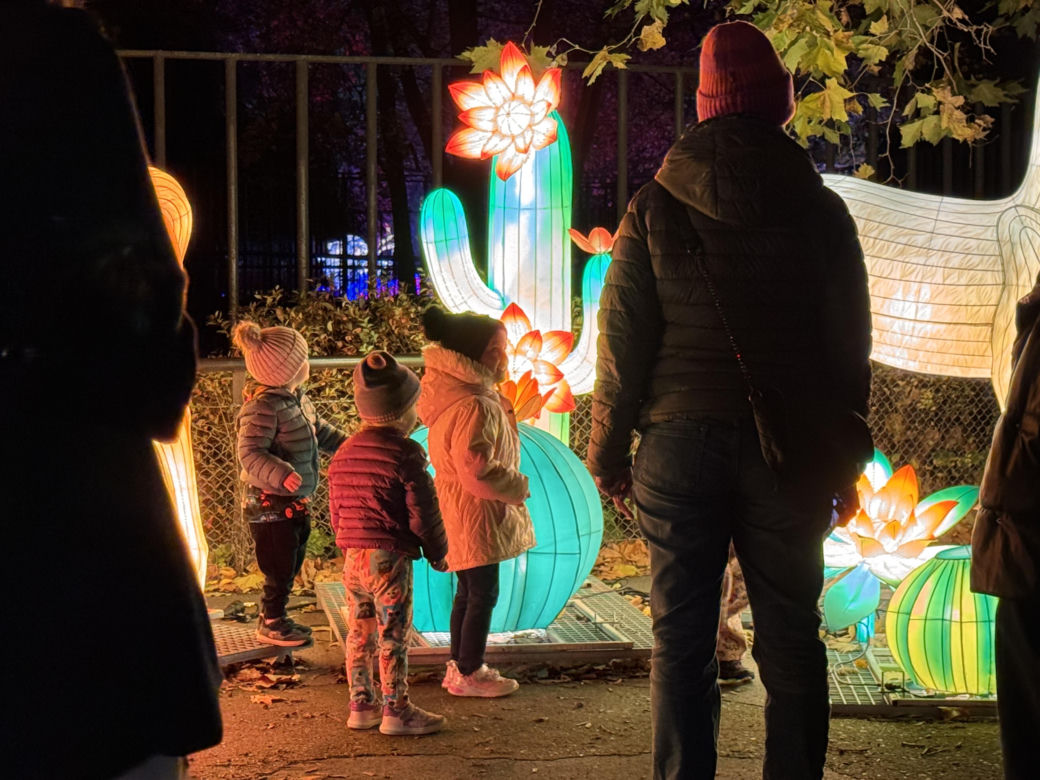 Garden of Lights we Wrocławiu