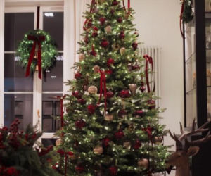 Małgorzata Rozenek-Majdan