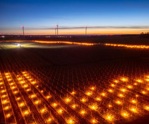 Przymrozki w winnicy - podgrzewanie winorośli