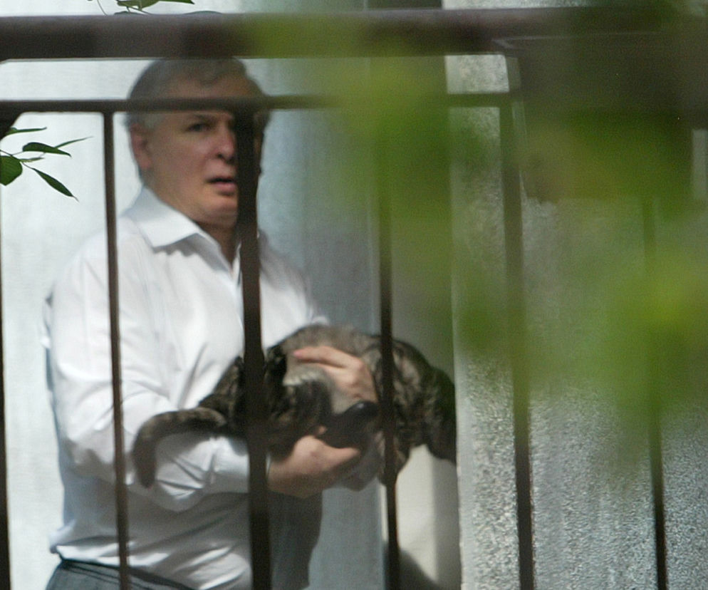 Kaczyński, kot