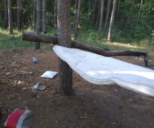 Las nieopodal ulicy Szmaragdowej tonie w śmieciach. 