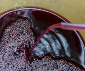 wino