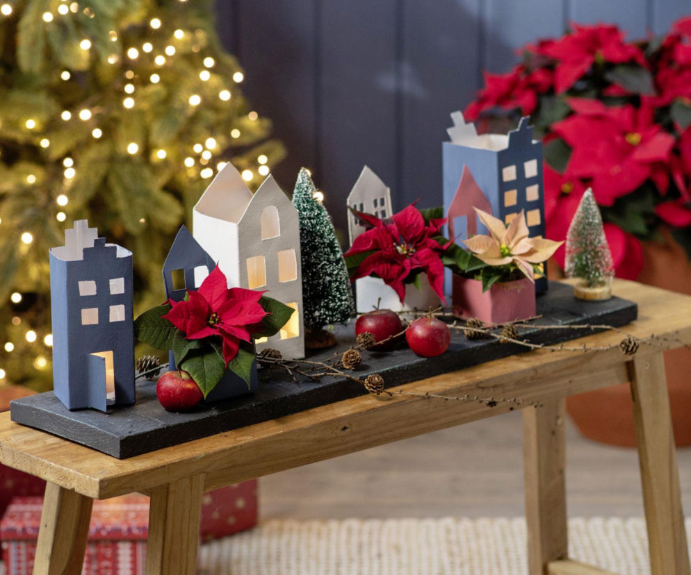 Gwiazda betlejemska – świąteczne domki DIY