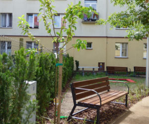 To pierwszy tego typu park w Białymstoku. Zobacz, jak wygląda