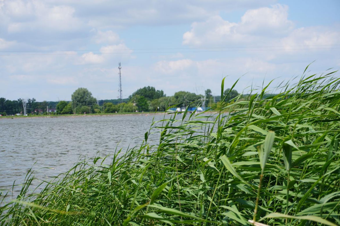 Lublinianie ruszyli nad Zalew Zemborzycki. Tak spędzili pierwszy weekend wakacji nad "lubelskim morzem"