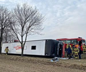 Kolonia Siedliszczki. Wypadek ukraińskiego autokaru z uchodźcami [ZDJĘCIA]