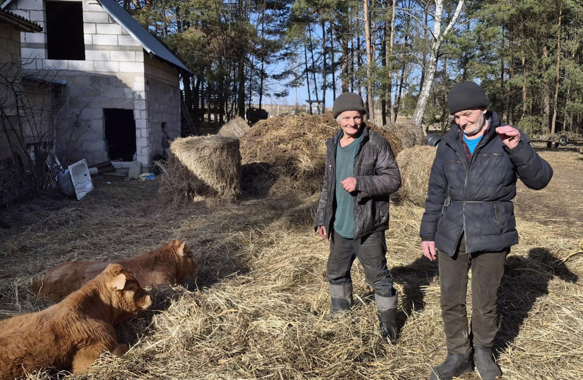 Rolnik z Podlasia bronił swojego bydła. "Gdyby nie brat, to by mnie tam zatłukli"