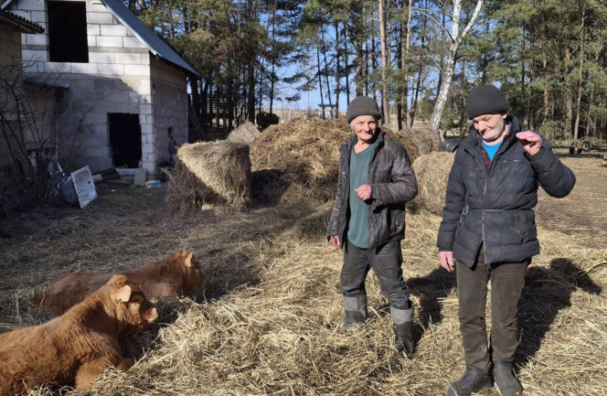 Rolnik z Podlasia bronił swojego bydła. "Gdyby nie brat, to by mnie tam zatłukli"