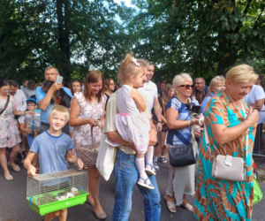 Święcenie zwierząt u św. Rocha 2026