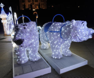 Świąteczne iluminacje rozświetliły Rzeszów