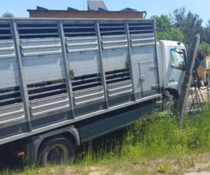 Wypadek ciężarówki w gminie Wręczyca Wielka