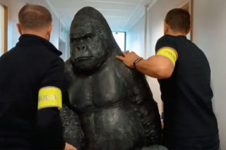 Skradziony goryl przejechał 50 km w bagażniku! Płocka policja odzyskała niezwykłą zdobycz