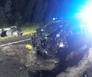 Jeleń doprowadził do tragedii w Małopolsce