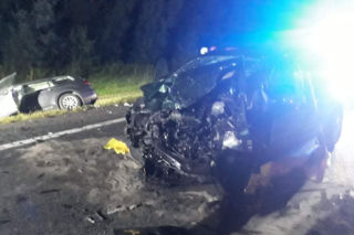 Groźny wypadek w Małopolsce. Do tragedii doprowadził JELEŃ! [ZDJĘCIA]
