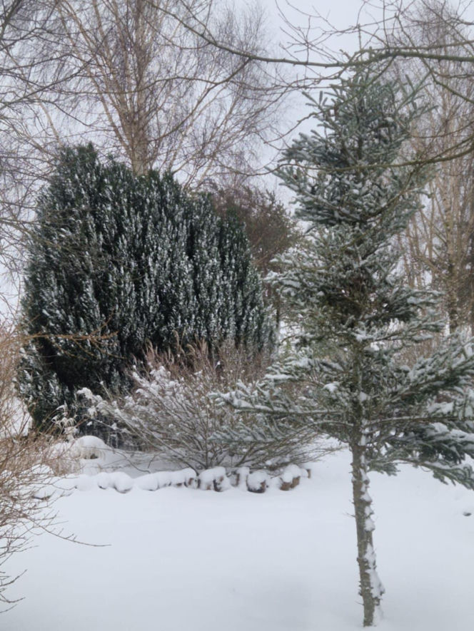 Atak zimy na wybrzeżu. Burze śnieżne, zasypane drogi i alerty IMGW
