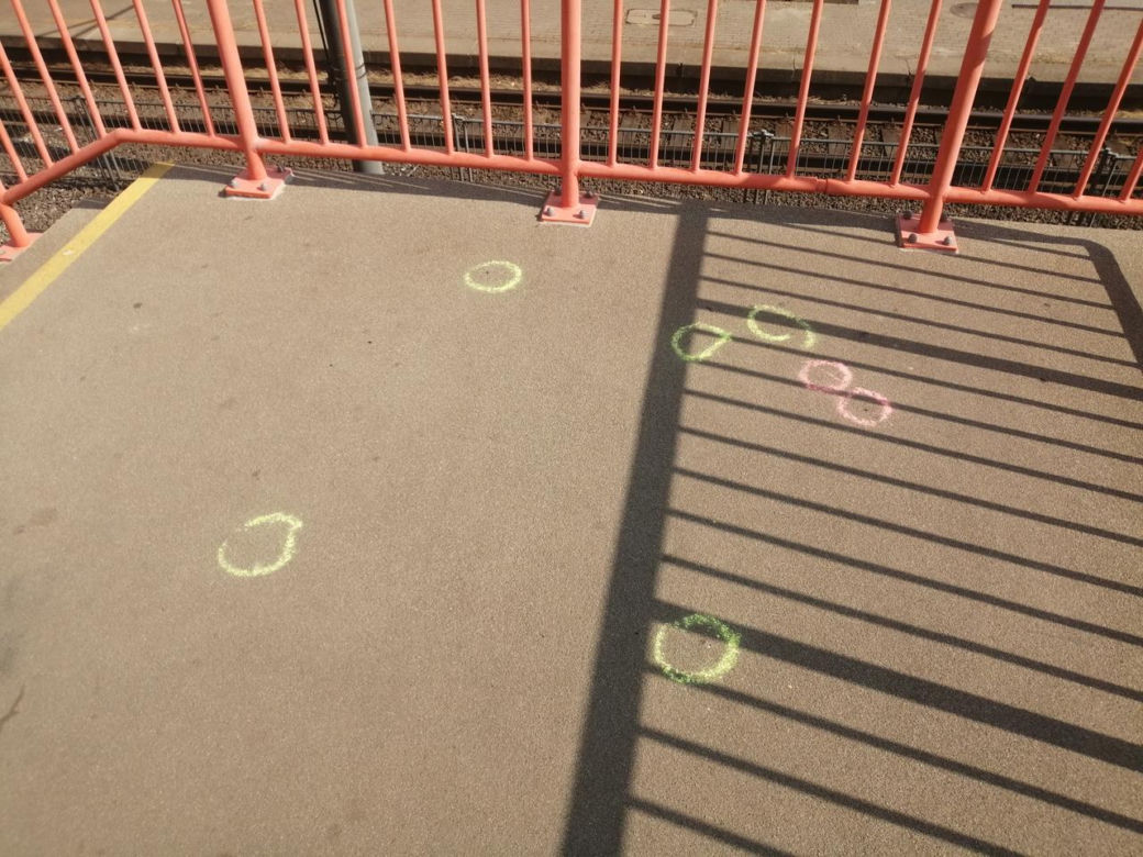 Akcja "Pety na ziemi" w Poznaniu
